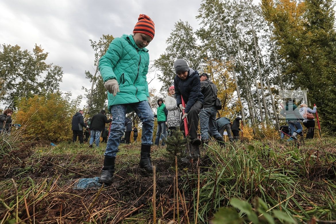 В Бавлах пройдет экологическая акция «Урман фест»