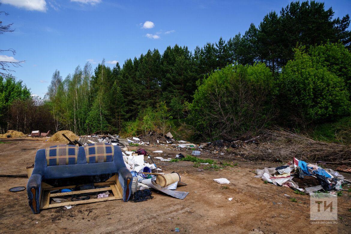В 2025 году на смену национальному проекту «Экология» пришло «Экологическое благополучие»