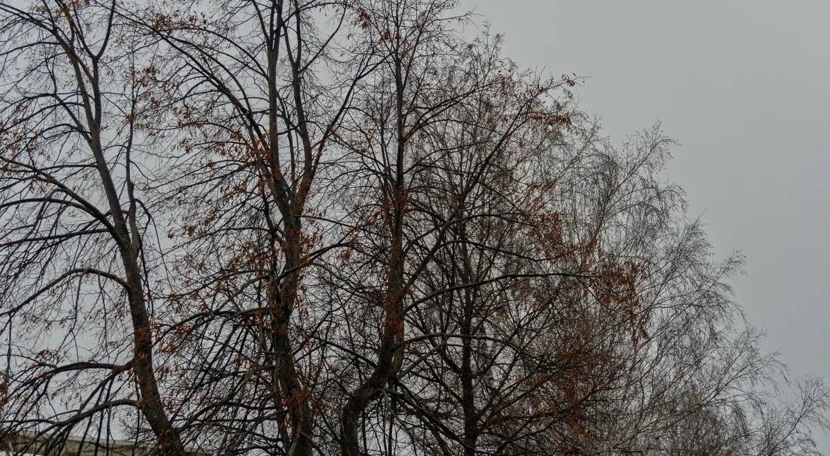 17 ноябрьгә сынамышлар