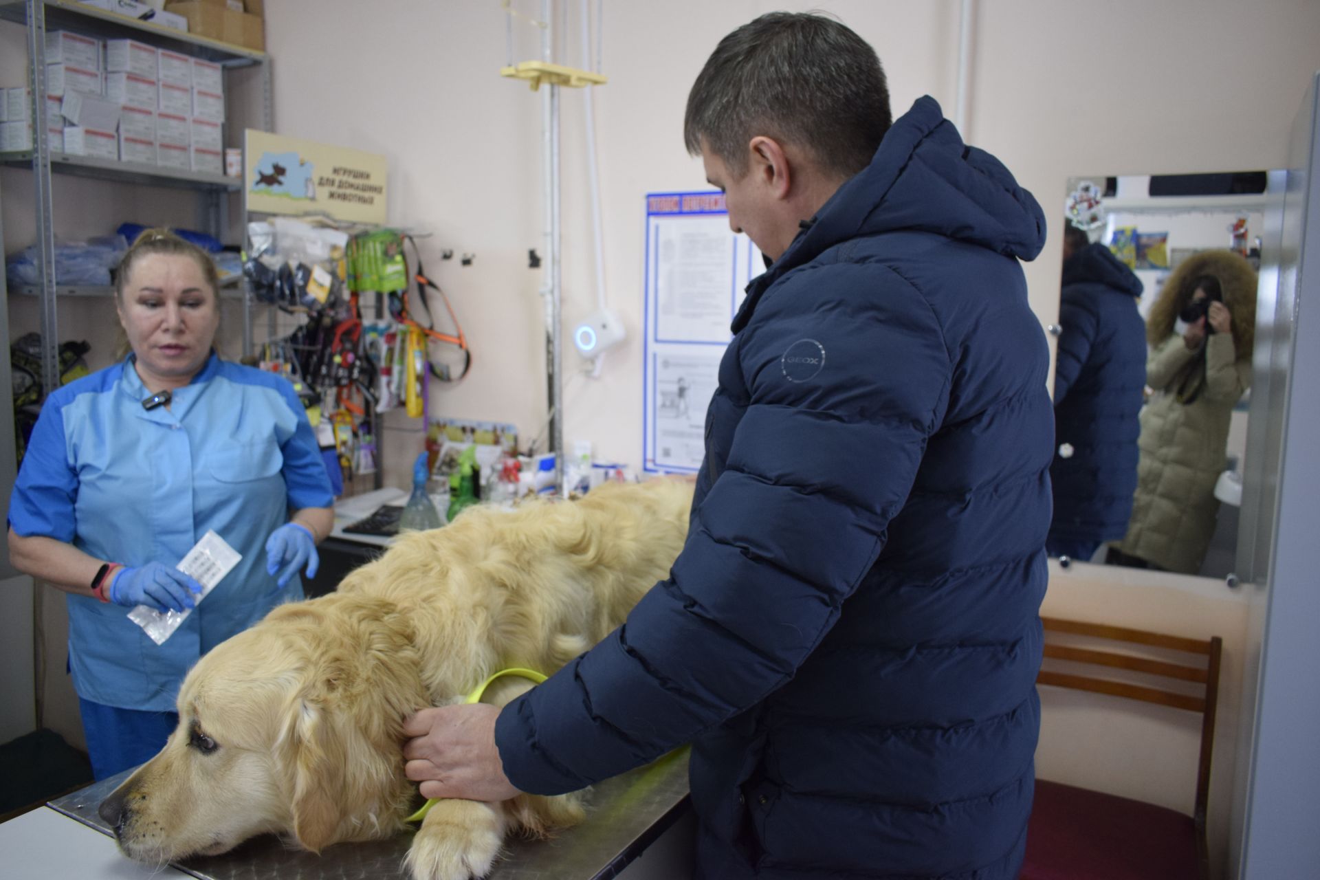 Где в Бавлинском районе можно чипировать собак