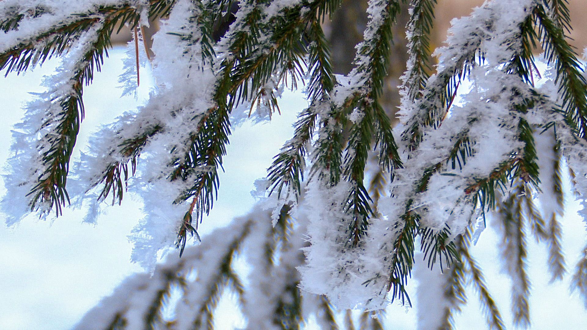 28 февральгә сынамышлар