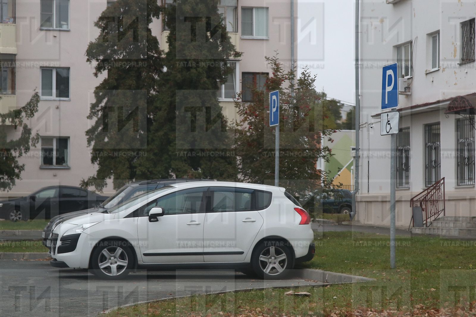 Отделение СФР по Республике Татарстан компенсировало стоимость ОСАГО 500 жителям с инвалидностью