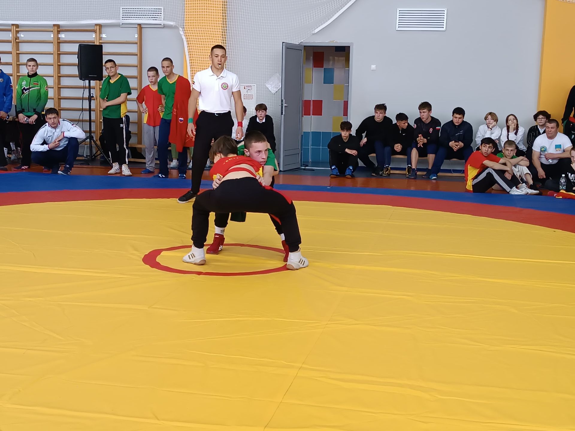 В Бавлах - праздник спорта и культуры