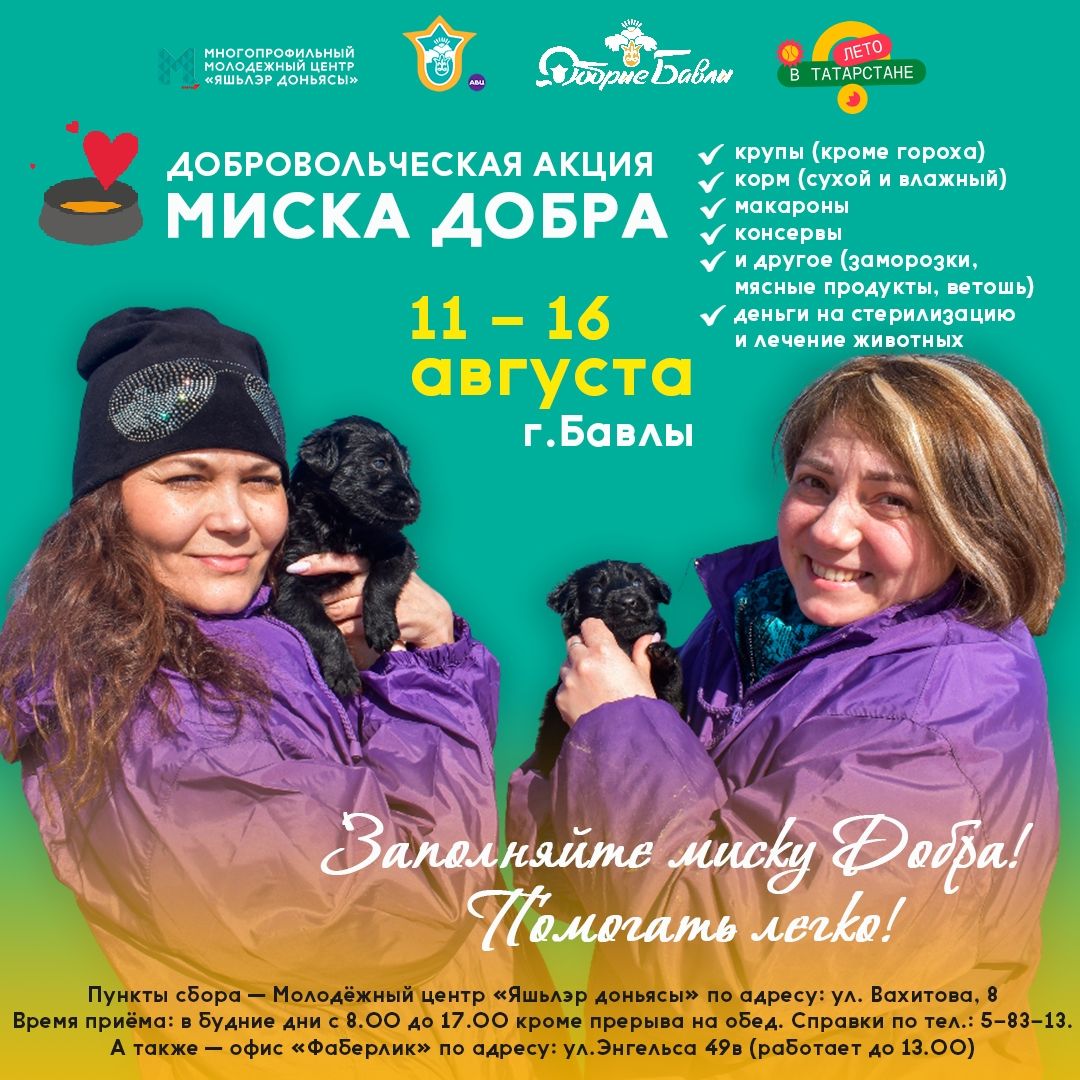 В Бавлах стартовала акция по сбора помощи бездомным животным