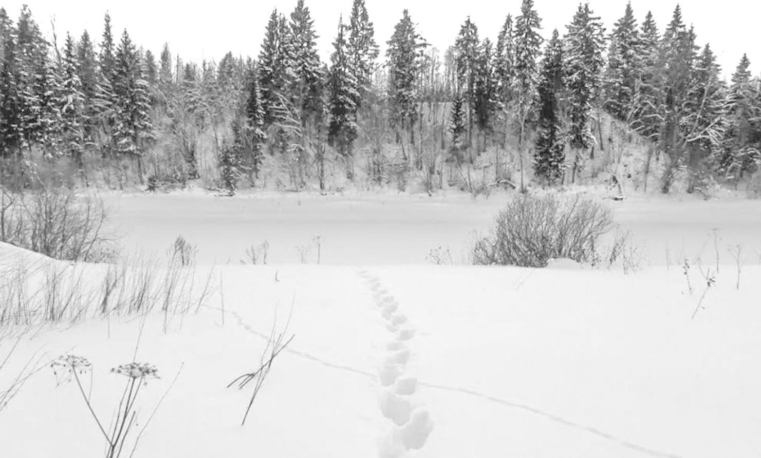 Төшем түгел, өнем бу