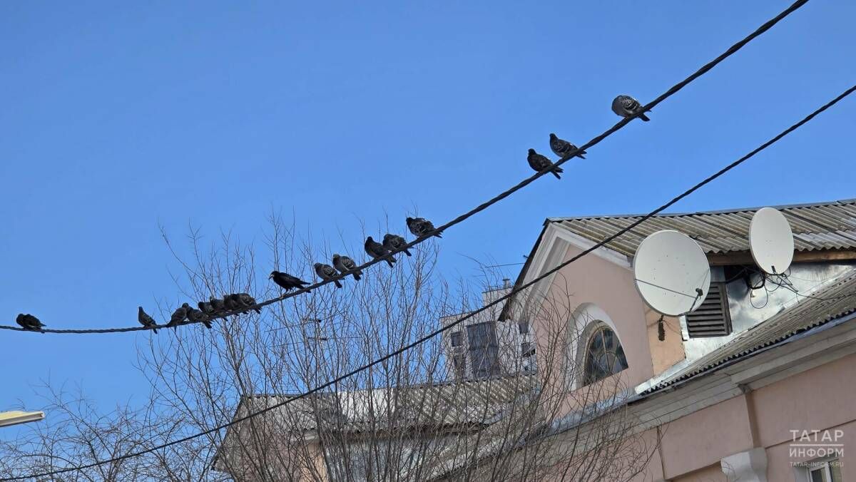 В Татарстане 26 марта сохранится аномально тёплая погода