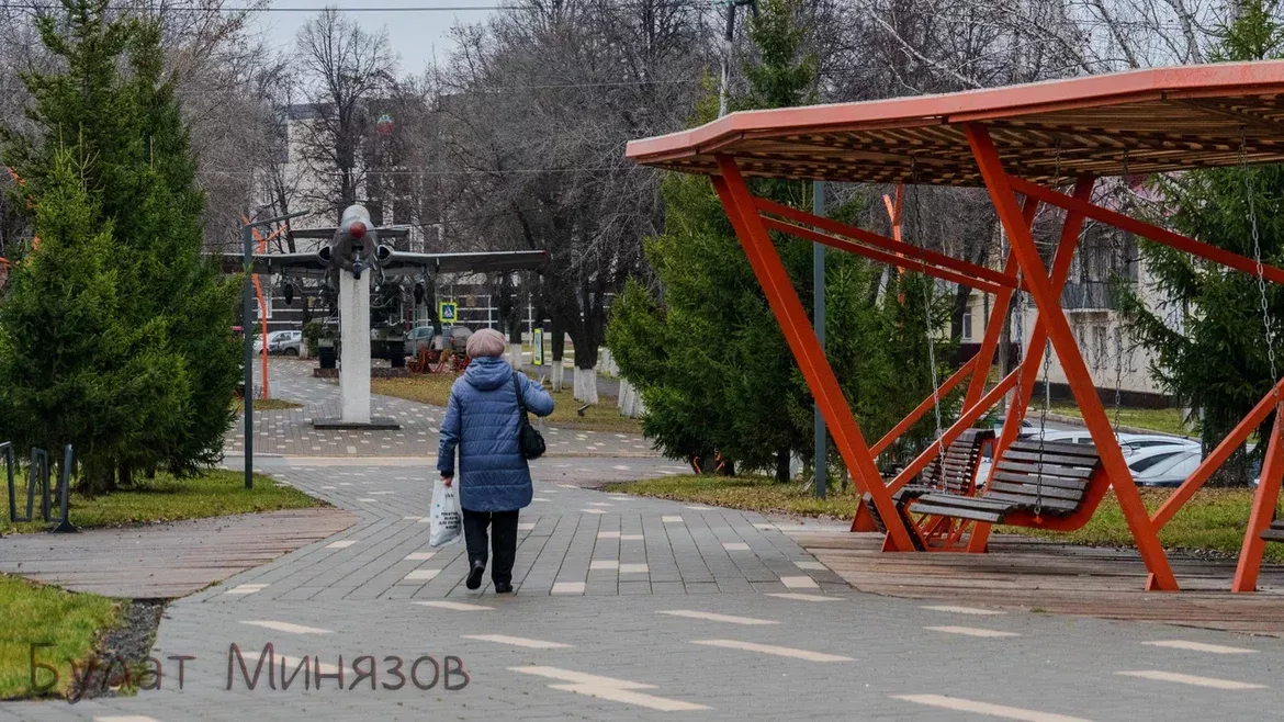 Жители Бавлинского района могут проголосовать за создание тематического парка