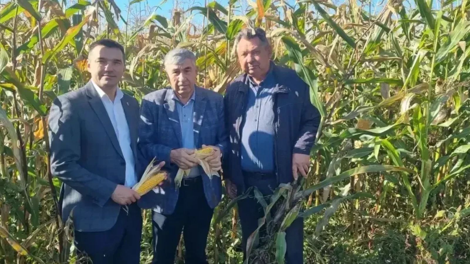 Баулы районы авыл хуҗалыкларының эш барышы тикшерелде