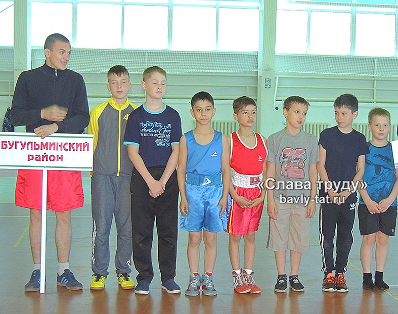 Соревнования по боксу памяти И.Чернова