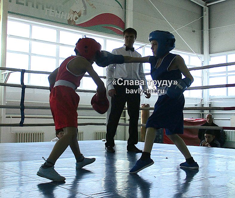 Соревнования по боксу памяти И.Чернова
