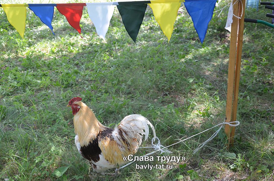В селе Татарская Тумбарла бабушки отметили праздник