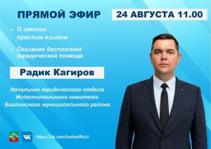 Жители Бавлинского района смогут получить бесплатную юридическую консультацию в прямом эфире
