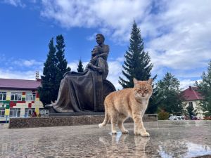 Прохладная погода без существенных осадков ждет жителей Татарстана сегодня