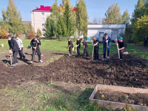 Школьники Бавлов собрали урожай на пришкольном участке
