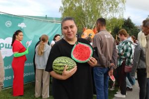 Семейный фестиваль «Арбузное настроение» прошел в Бавлах