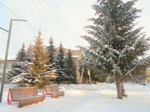 Метеорологический прогноз на завтра