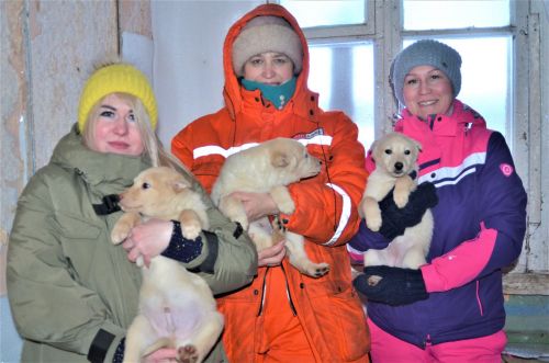Бавлинские волонтёры – люди с большим сердцем
