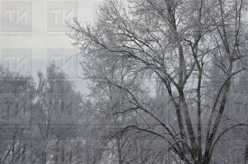 Завтра в Бавлах прогнозируют облачную погоду