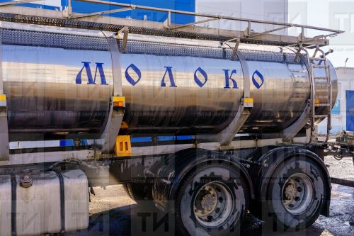 В РТ для увеличения производства молока выделят 1 млрд 279 млн рублей