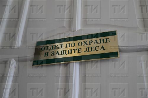 Для тушения пожаров татарстанские лесники получат почти 70 единиц техники и оборудования