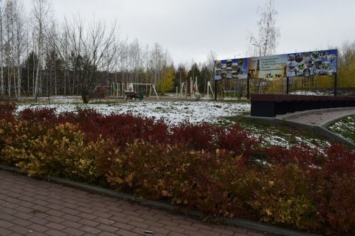 Идеи отдыха для бавлинских школьников в осенние каникулы