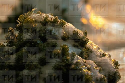 Декабрь уртасында уңыштан башыгыз әйләнер!