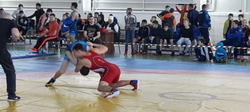 В Бавлах проходит республиканский турнир по греко-римской борьбе на призы главы района