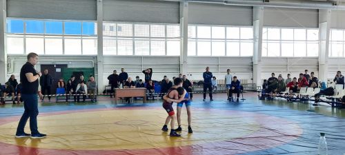 В Бавлах проходит республиканский турнир по греко-римской борьбе на призы главы района