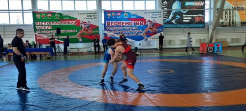 В Бавлах проходит республиканский турнир по греко-римской борьбе на призы главы района