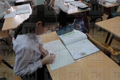 Бавлинцев информируют: как использовать материальный капитал на репетитора для ребенка
