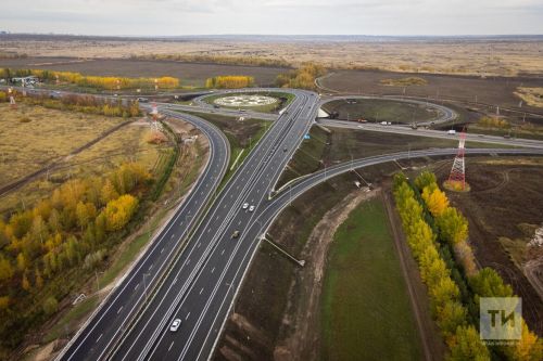 На республиканских дорогах за 2023 год произошло 158 ДТП с дикими животными