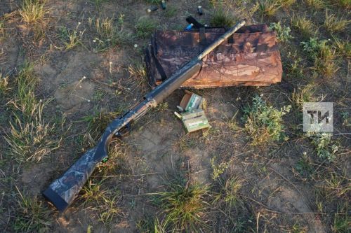 В РТ стартовал прием заявок на охоту пернатой дичи