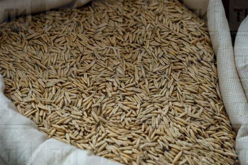 Солы суын ничек эчәргә?