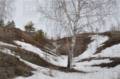 Ял көннәрендә Татарстанда +14 градуска кадәр җылыта