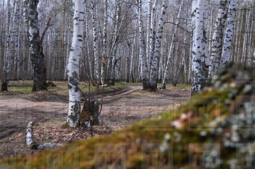 Иртәгә, 11 апрельгә сынамышлар