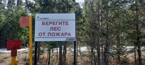 МЧС: с 13 по 20 апреля в РТ высокая пожарная опасность лесов