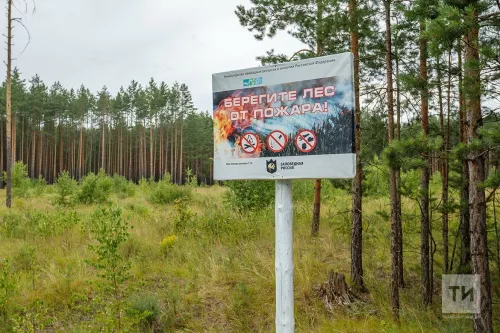Бавлинцам: штормовое предупреждение о высокой и чрезвычайной пожарной опасности лесов