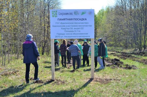 Бавлинцы присоединились к акции и высадили «Сад памяти»