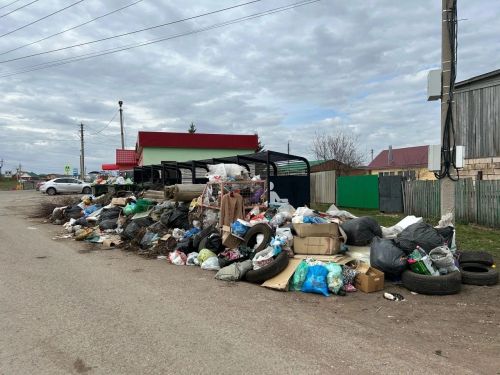 В Бавлах возле контейнеров для ТКО жители складируют мусор с огородов