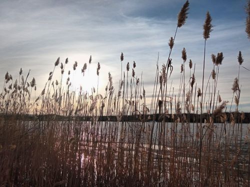 Прогноз погоды: дожди и +20 градусов тепла прогнозируют синоптики