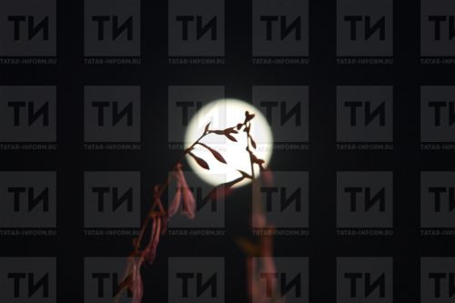 Үпкәләтүчеләрне кичерегез...