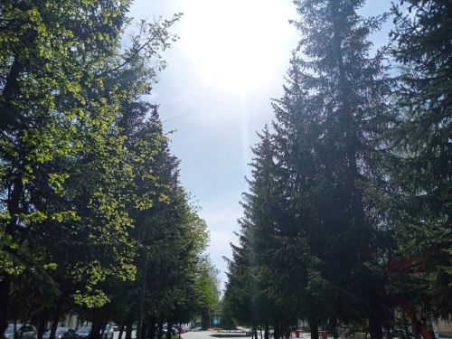 В Бавлах ожидаются ветер до 17 м/с и 25 градусов тепла