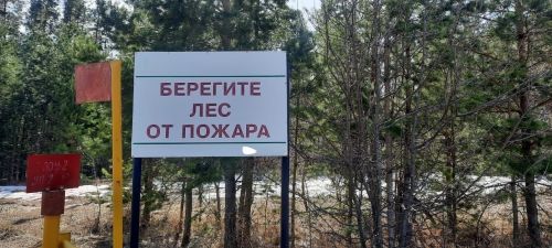 Из-за отсутствия дождей в РТ выросло количество опасных термоточек в лесах