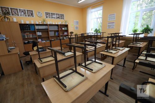 С нового учебного года в российских школах появятся советники директоров по воспитанию