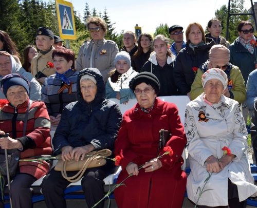 В Бавлах отмечают День Победы