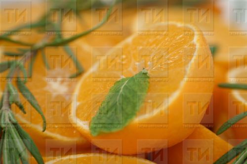 Әфлисун кабыгын чүп чиләгенә түгел, бакчага чыгарыгыз!