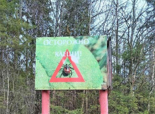 В Татарстане увеличилось число обращений из-за укусов клещей