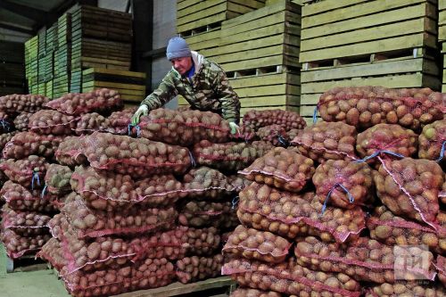 В РТ увеличен норматив дохода от продажи продуктов с личного хозяйства