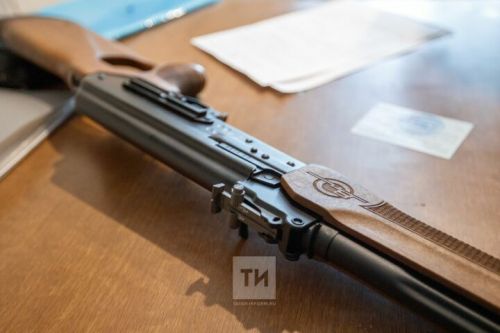 В Татарстане нижнекамец убил сына из ружья