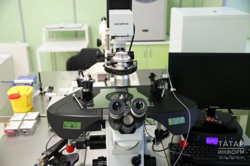 Российские ученые ведут разработку инновационного препарата для лечения деменций